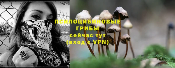 мдпв Верея