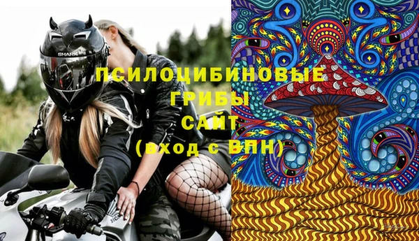 МДПВ Верхний Тагил