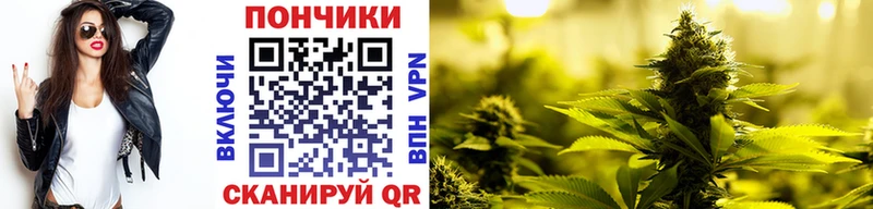 Купить закладки  Малоярославец  Каннабис THC 21% 